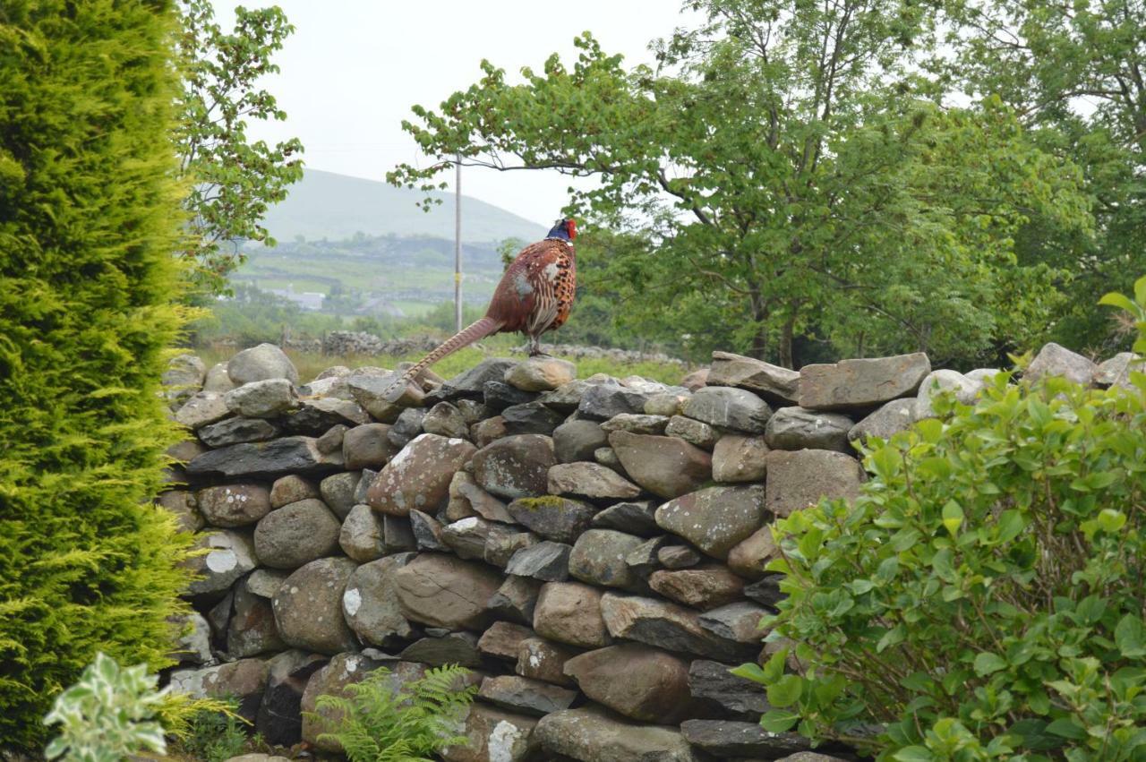 Beudy Bach And Beudy Mawr Mountainstudios Bangor  Luaran gambar