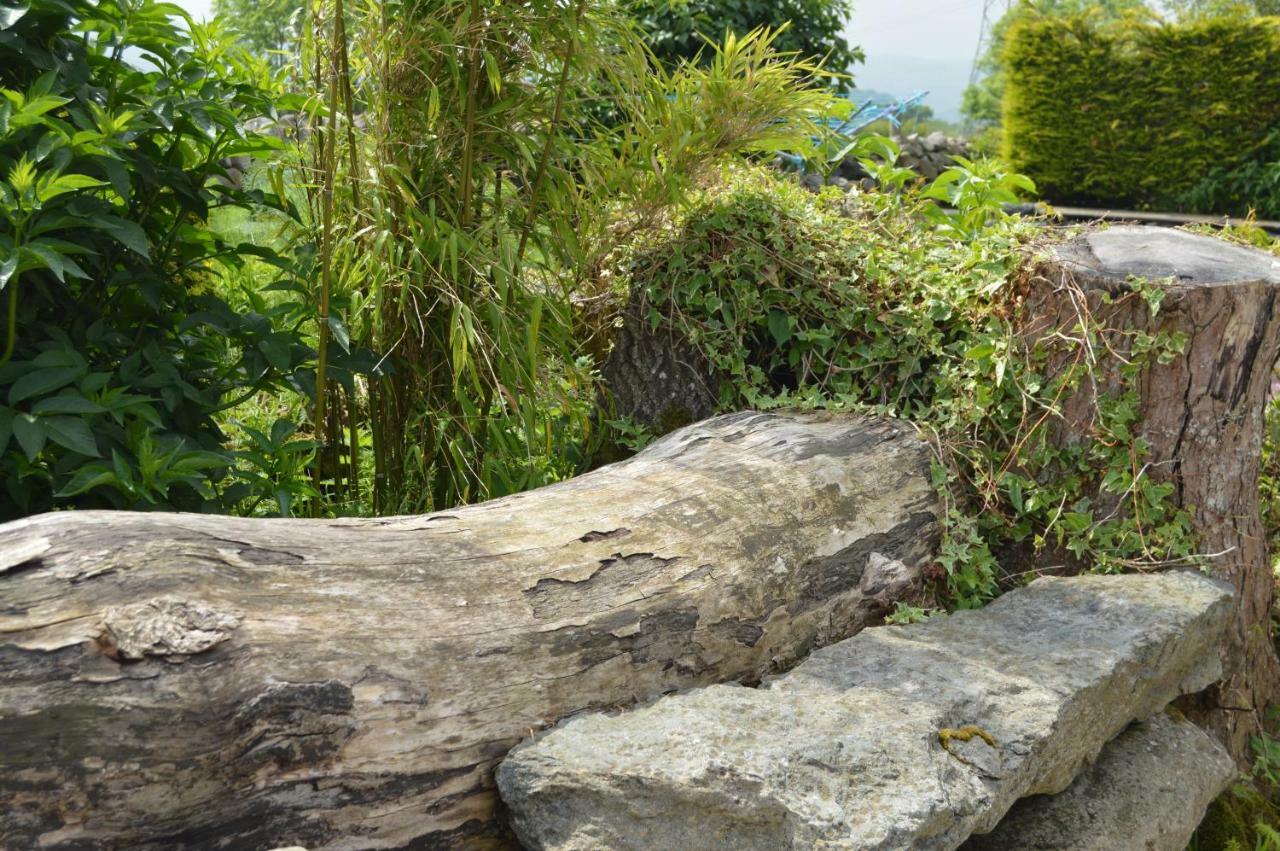 Beudy Bach And Beudy Mawr Mountainstudios Bangor  Luaran gambar
